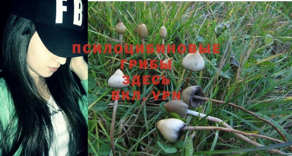 альфа пвп Ладушкин